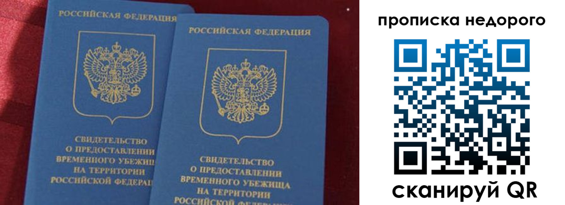 прописка гарантия в Александрове
